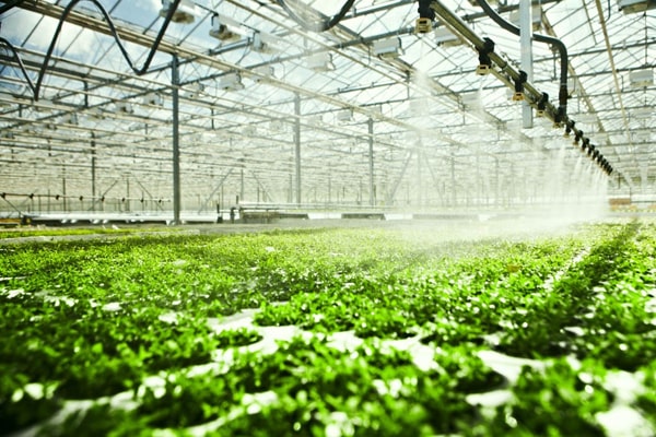 农药残留好色TV在线观看仪走进寿光市蔬菜基地