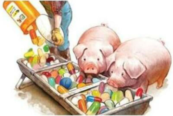 兽药残留的分类及兽药残留好色TV在线观看仪作用